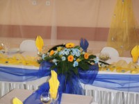 /album/fotogaleria-fotogaleria/p1011390-jpg/