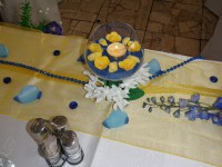 /album/fotogaleria-fotogaleria/p1011656-jpg/